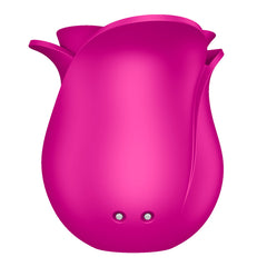 Satisfyer Pro 2 Modern Blossom Air-pulse Vibrator