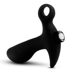 Anal Adventures Platinum Vibrating Prostate Massager 01 Butt Plug