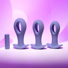 Evolved HOLE PUNCH PLUG SET - Purple Butt Plugs with Interchangeable Bullet - Set of 3 Sizes - Mr and Mrs D's
