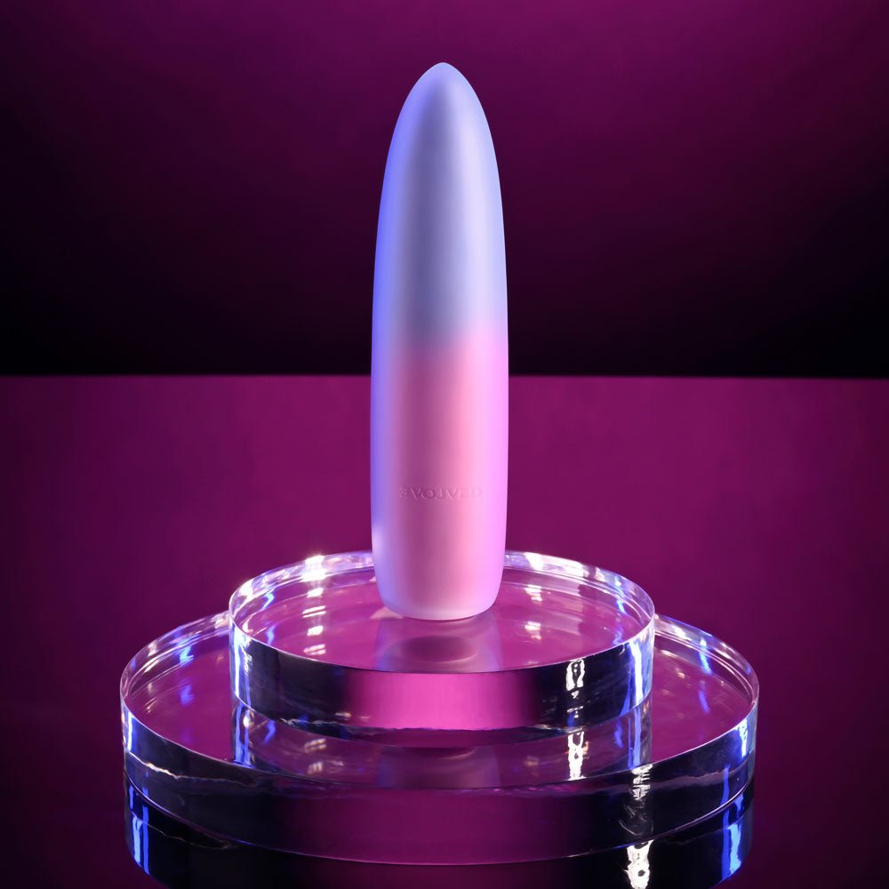 Evolved PARADISE BULLET - Pink/Purple 10.2 cm USB Rechargeable Bullet - Mr and Mrs D's