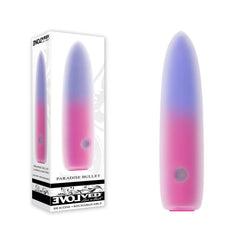 Evolved PARADISE BULLET - Pink/Purple 10.2 cm USB Rechargeable Bullet - Mr and Mrs D's