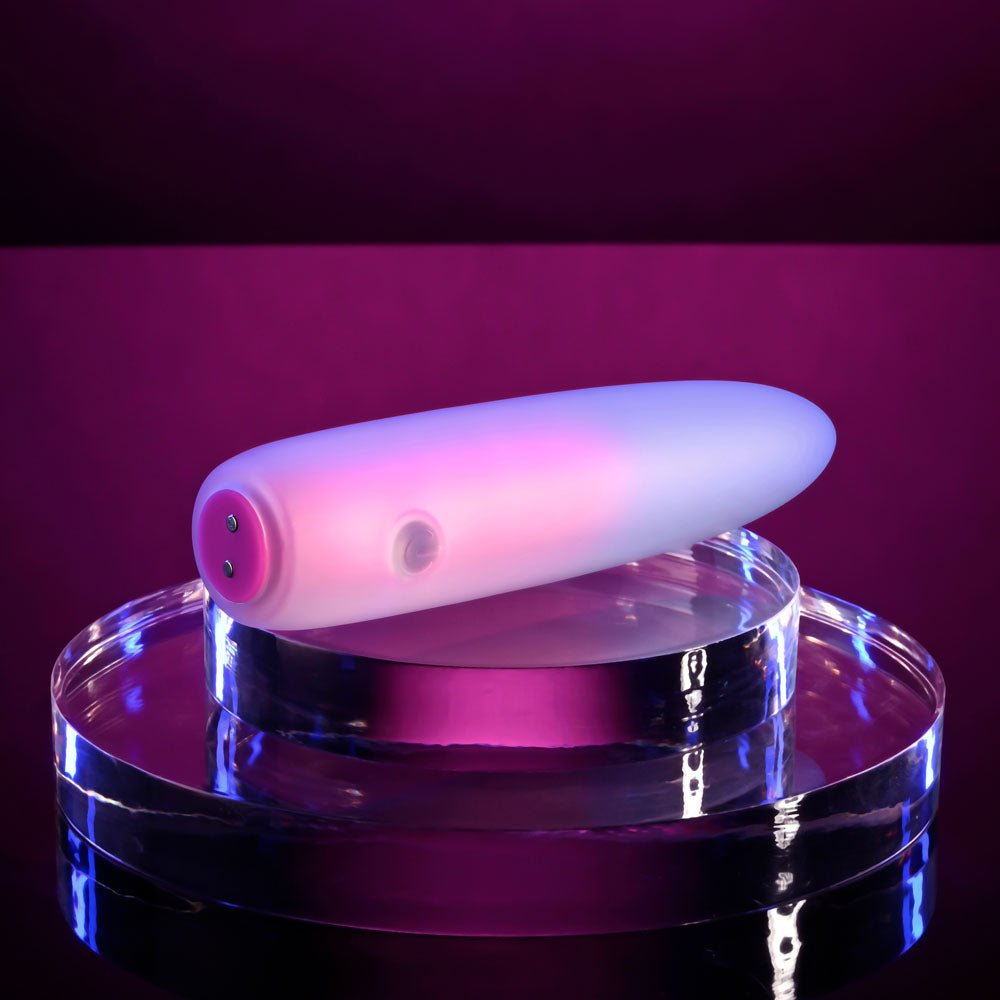 Evolved PARADISE BULLET - Pink/Purple 10.2 cm USB Rechargeable Bullet - Mr and Mrs D's