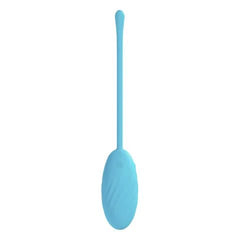 LOVELINE Felicite Vibrating Egg with Wireless Remote - Blue USB Rechargeable - Mr and Mrs D's