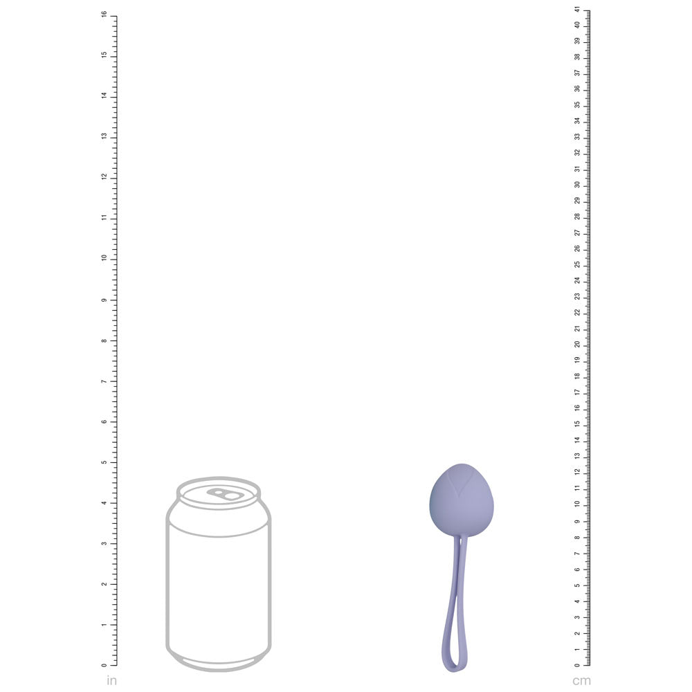 LOVELINE PelviFit Berry - Coloured Kegel Kit - Set of 5 Sizes - Mr and Mrs D's