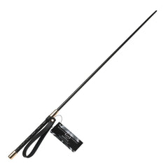 Master Series Sinful Impact Cane - Black Plastic Cane Whip - Mr and Mrs D's