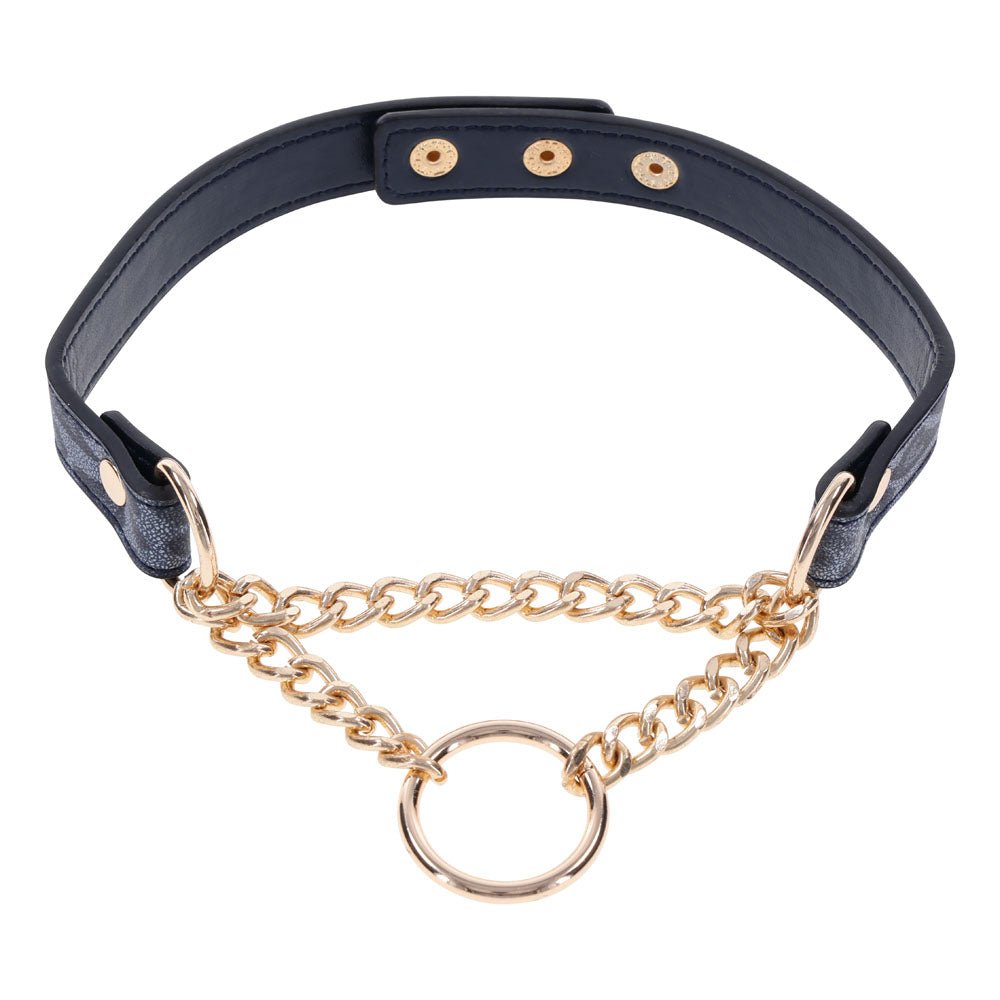 Sex & Mischief Cougar Day Collar - Navy Blue/Gold Collar - Mr and Mrs D's