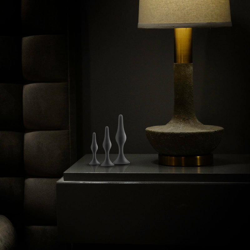 Anal Adventures Platinum Silicone Beginner Butt Plug Kit