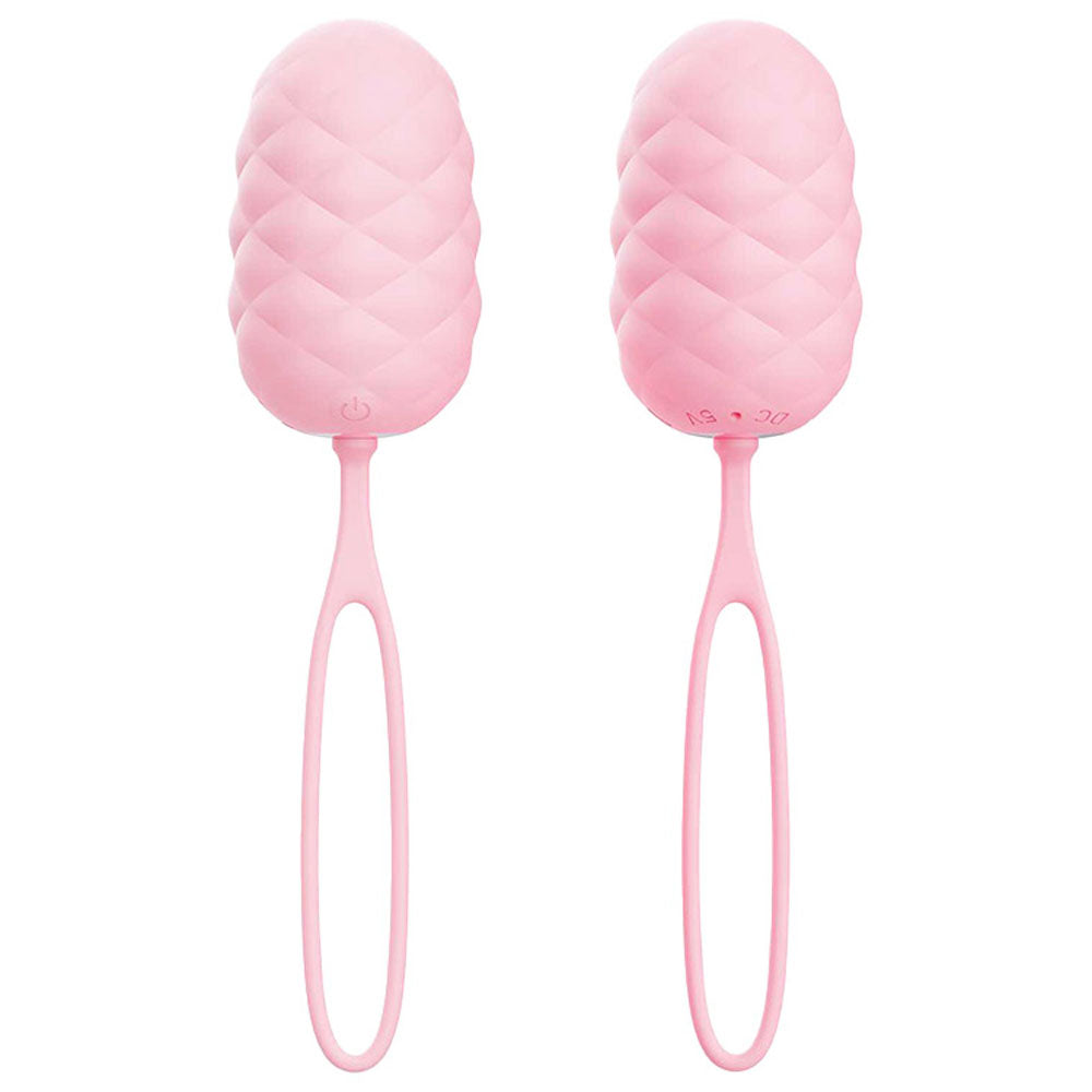 Adam & Eve PILLOW TALK Vibrating Egg with Wireless Remote Control - Pink USB Rechargeable
