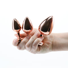 Rear Assets Trainer Butt Plug Kit - Rose Gold - Pink Heart