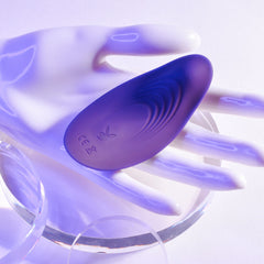 Playboy Pleasure OUR LITTLE SECRET Panty Vibrator