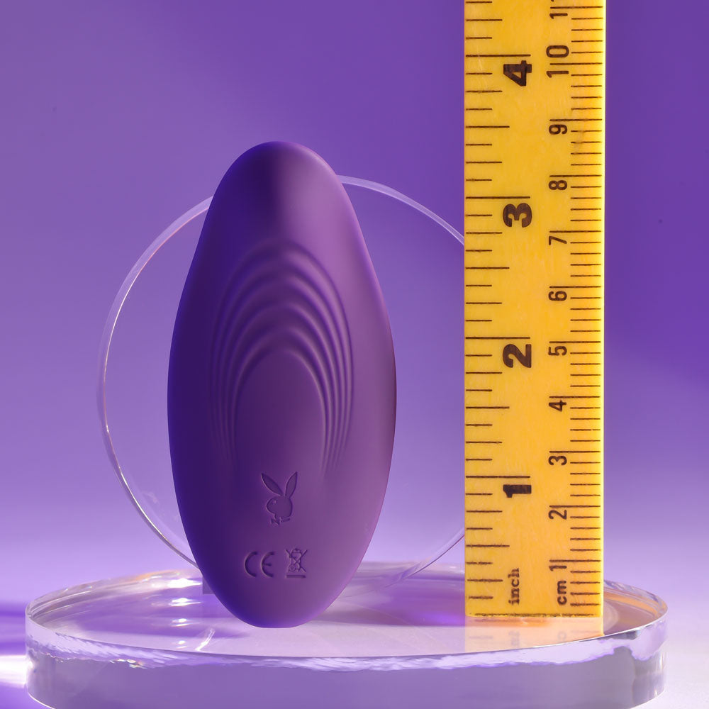 Playboy Pleasure OUR LITTLE SECRET Panty Vibrator
