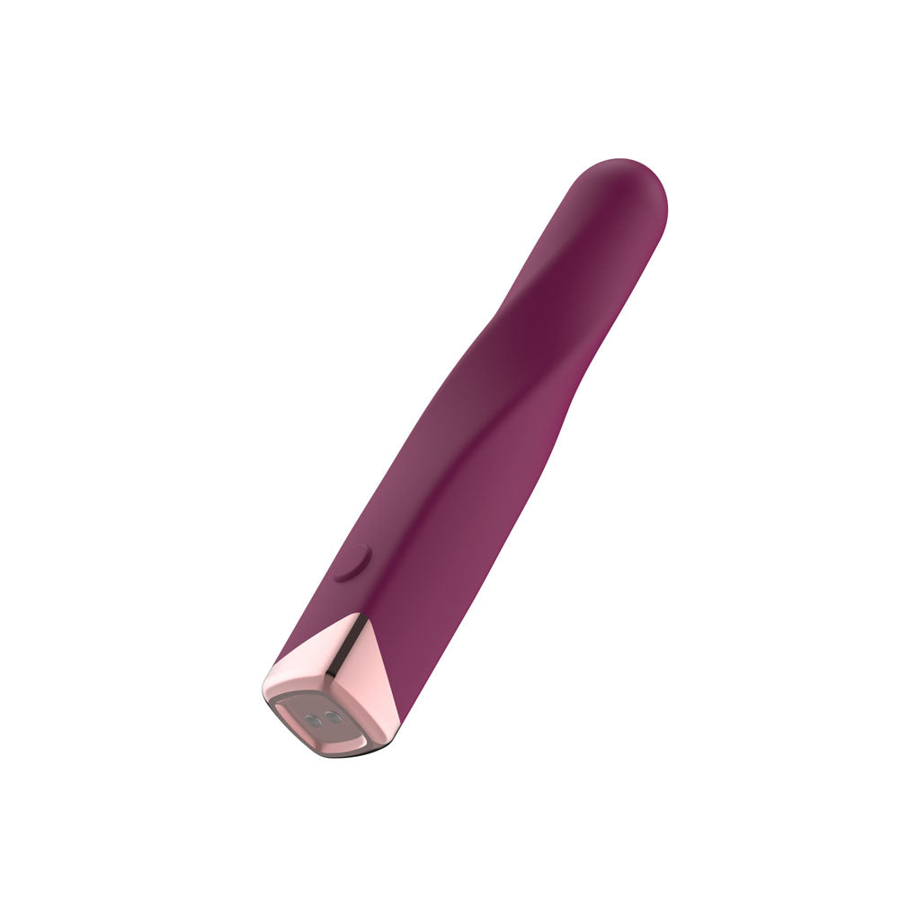 Passion Play Rechargeable Vibrating Bullet - Purple - Purple 12 cm USB Rechargeable Vibrating Bullet