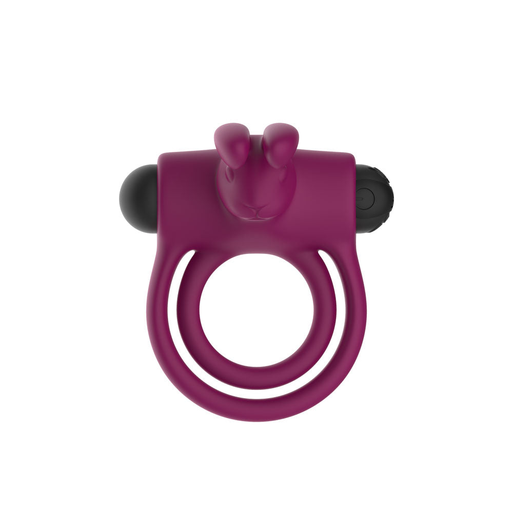 Passion Play Silicone Rabbit Vibrating Cockring - Purple USB Rechargeable Vibrating Penis and Balls Ring