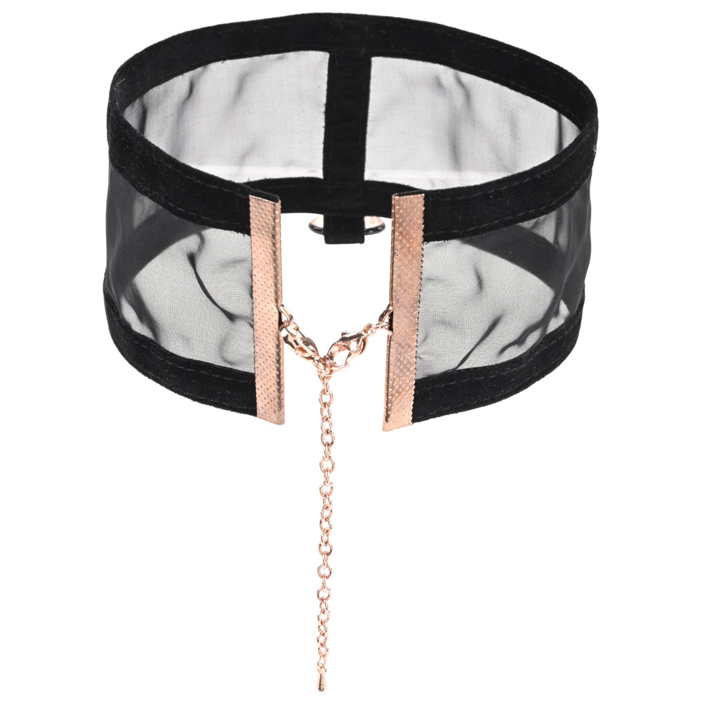 Sex & Mischief Sheer Day BDSM Collar