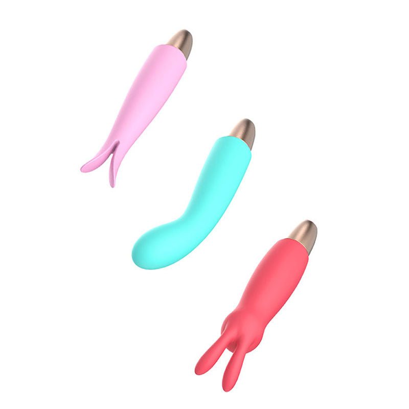 Adam & Eve PLAYFUL SEDUCTION KIT - USB Rechargeable Vibrator with 3 Interchangeable Sleeves - BULLETS & EGGS - Mr and Mrs D's