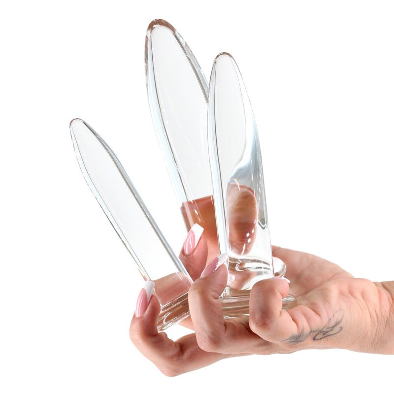 Crystal - 3pc Trainer Kit - Clear - Clear Glass Anal Plugs - Set of 3 Sizes - GLASS TOYS - Mr and Mrs D's