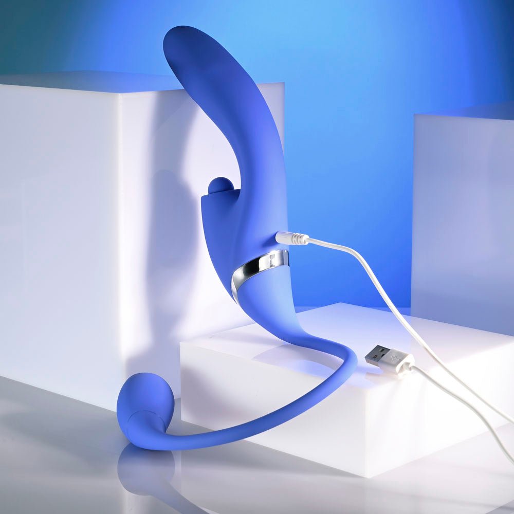 Evolved ALL IN - Purple USB Recahrgeable Triple Stimulating Vibrator - Mr and Mrs D's