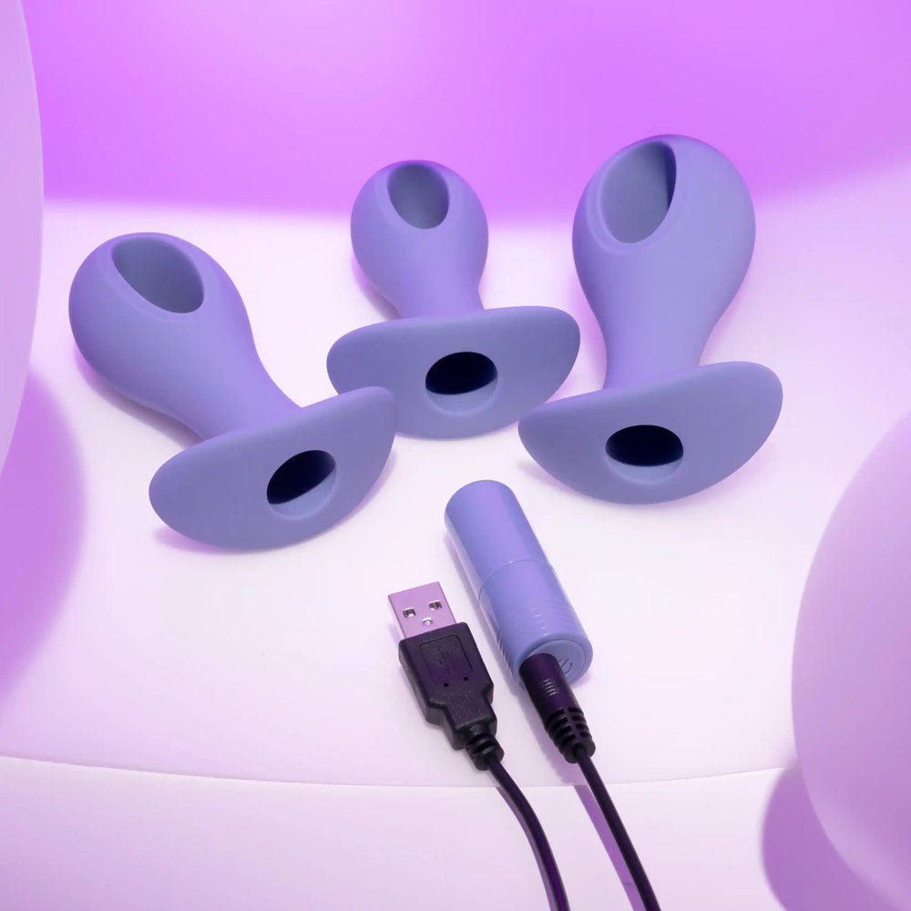 Evolved HOLE PUNCH PLUG SET - Purple Butt Plugs with Interchangeable Bullet - Set of 3 Sizes - Mr and Mrs D's
