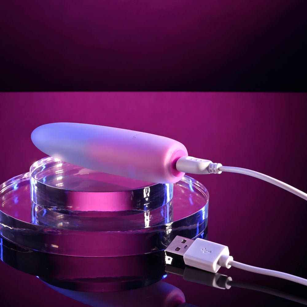 Evolved PARADISE BULLET - Pink/Purple 10.2 cm USB Rechargeable Bullet - Mr and Mrs D's