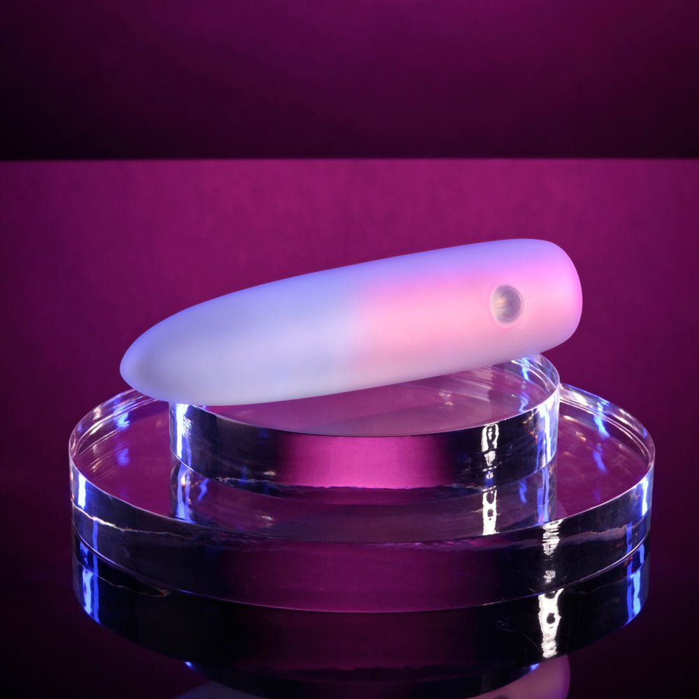 Evolved PARADISE BULLET - Pink/Purple 10.2 cm USB Rechargeable Bullet - Mr and Mrs D's