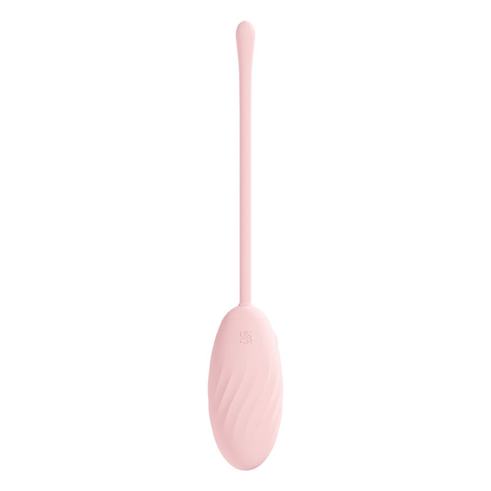 LOVELINE Felicite - Rechargeable Vibrating Egg with Wireless Remote - Pink USB - Mr and Mrs D's
