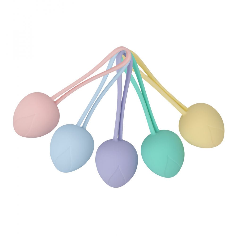 LOVELINE PelviFit Berry - Coloured Kegel Kit - Set of 5 Sizes - Mr and Mrs D's