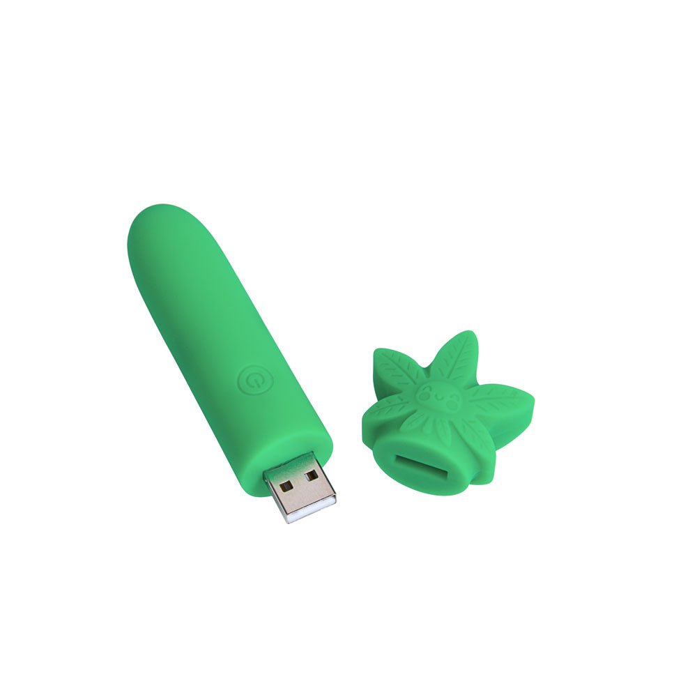 Maia STONI - 420 Green 11.1 cm USB Rechargeable Bullet - BULLETS & EGGS - Mr and Mrs D's