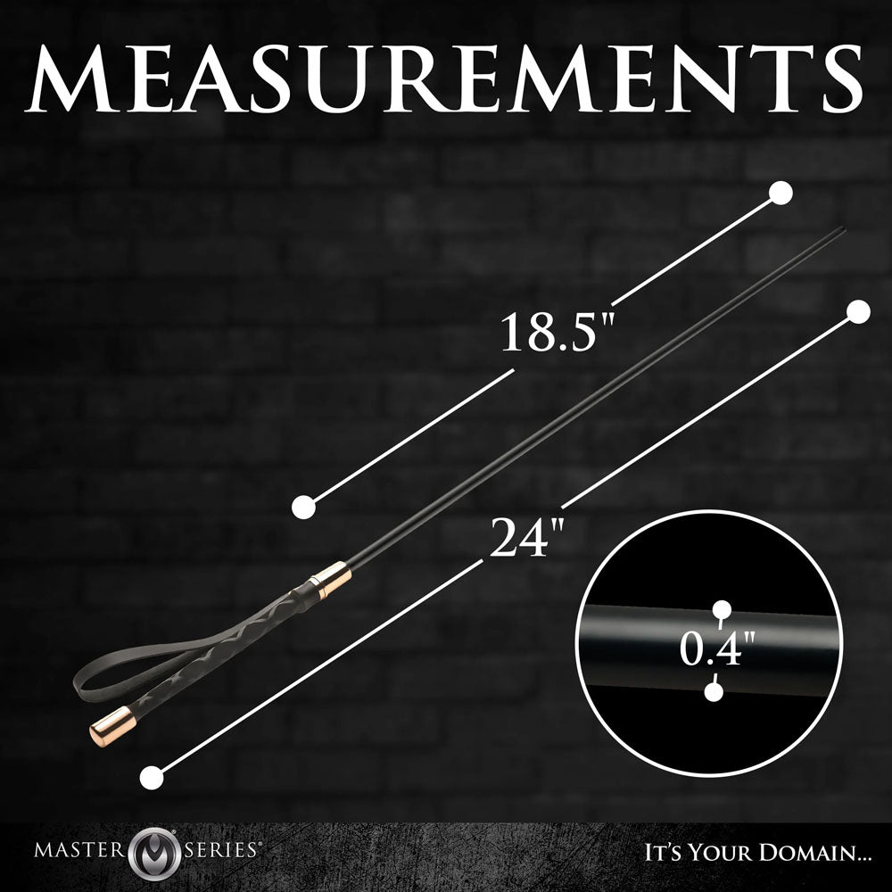 Master Series Sinful Impact Cane - Black Plastic Cane Whip - BONDAGE - TOYS - Mr and Mrs D's