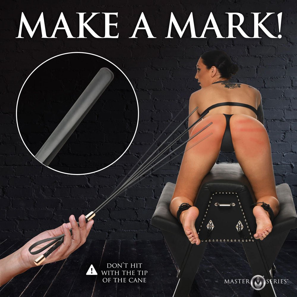Master Series Sinful Impact Cane - Black Plastic Cane Whip - BONDAGE - TOYS - Mr and Mrs D's
