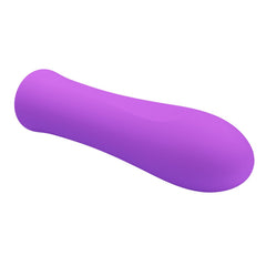 Party Up GARY Bullet - Purple - Purple 10.2 cm USB Rechargeable Bullet - Mr and Mrs D's
