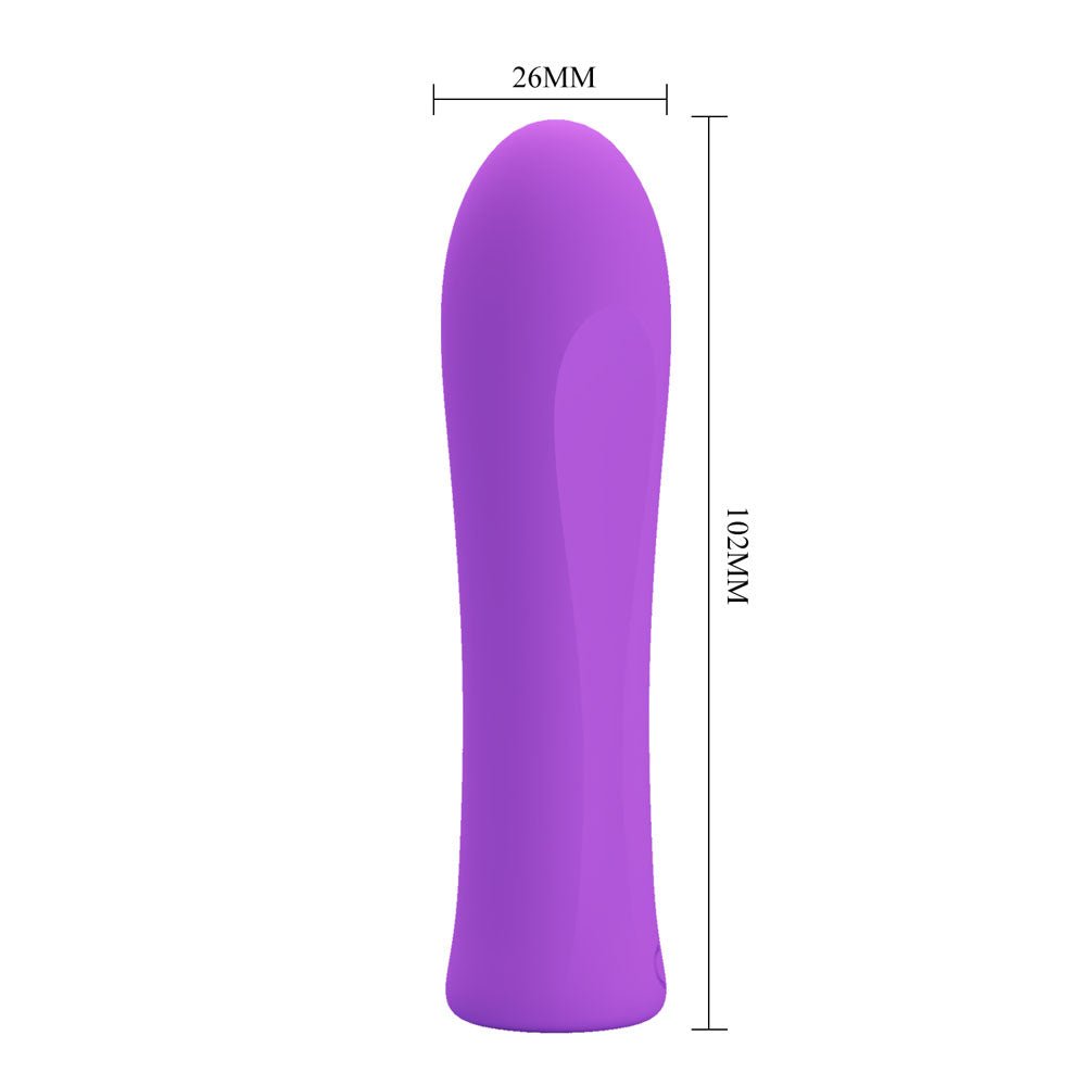Party Up GARY Bullet - Purple - Purple 10.2 cm USB Rechargeable Bullet - Mr and Mrs D's
