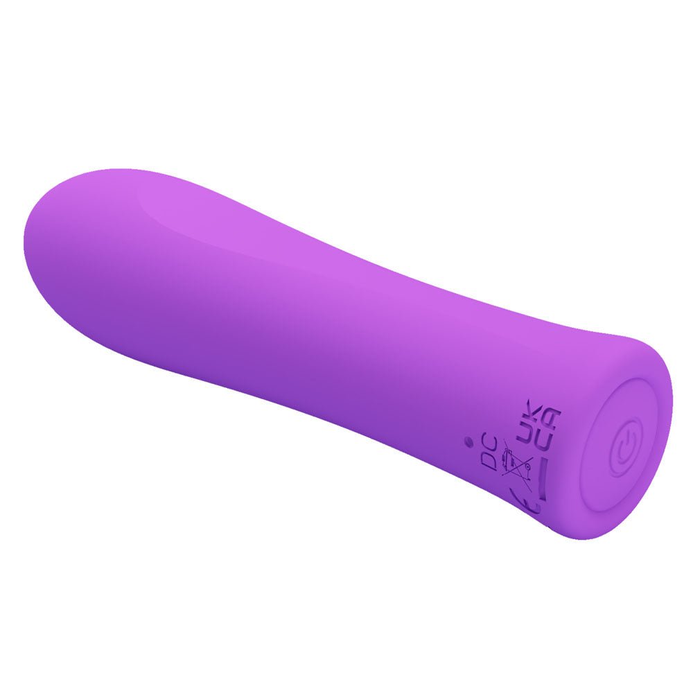 Party Up GARY Bullet - Purple - Purple 10.2 cm USB Rechargeable Bullet - Mr and Mrs D's