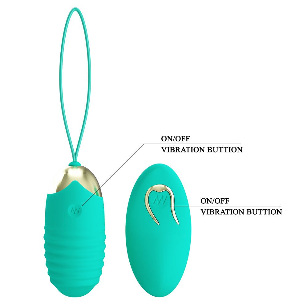 Party Up IAN Remote Egg - Teal - Teal USB Rechargeable Vibrating Egg with Wireless Remote - Mr and Mrs D's