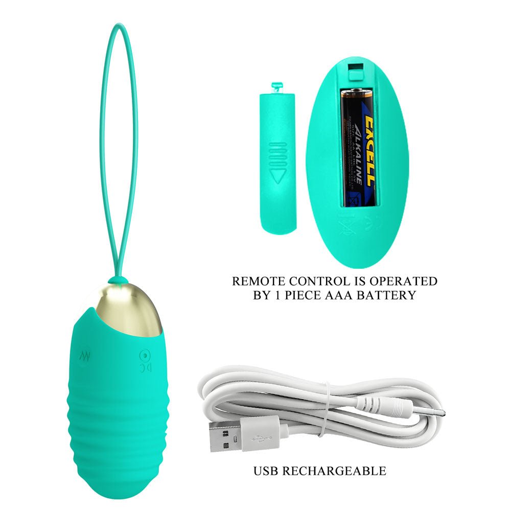 Party Up IAN Remote Egg - Teal - Teal USB Rechargeable Vibrating Egg with Wireless Remote - Mr and Mrs D's