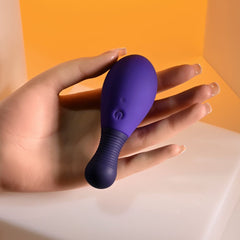 Selopa EGG ME ON - Purple 10 cm USB Rechargeable Egg with Wireless Remote - BULLETS & EGGS - Mr and Mrs D's