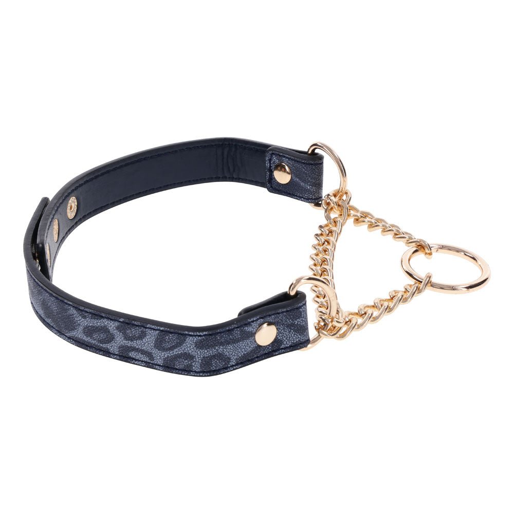 Sex & Mischief Cougar Day Collar - Navy Blue/Gold Collar - BONDAGE - TOYS - Mr and Mrs D's
