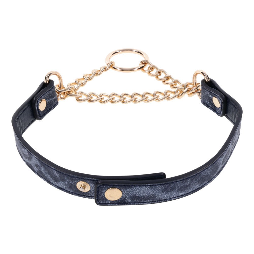 Sex & Mischief Cougar Day Collar - Navy Blue/Gold Collar - BONDAGE - TOYS - Mr and Mrs D's