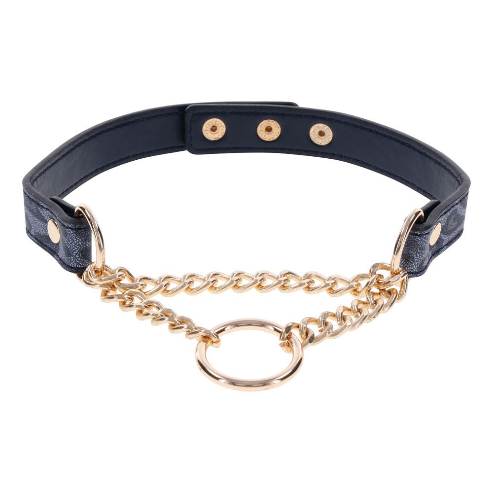Sex & Mischief Cougar Day Collar - Navy Blue/Gold Collar - BONDAGE - TOYS - Mr and Mrs D's