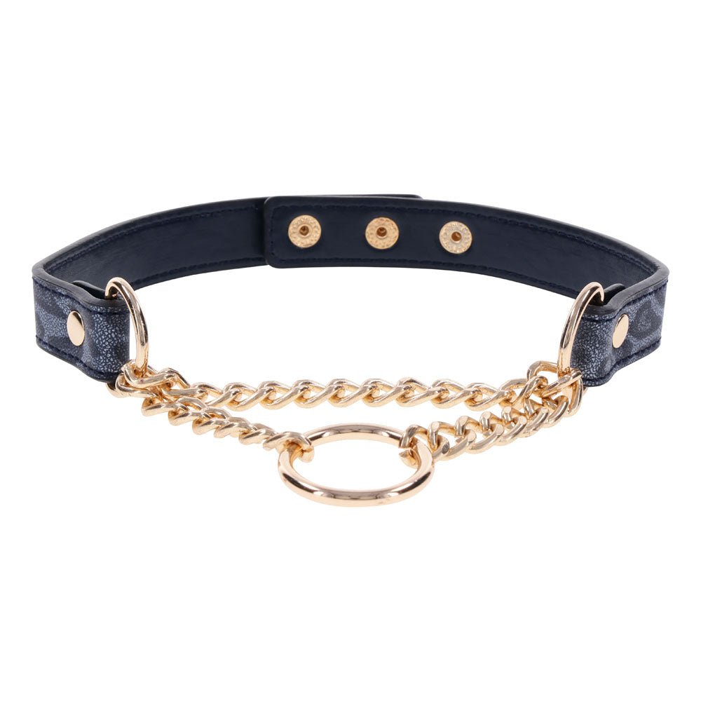 Sex & Mischief Cougar Day Collar - Navy Blue/Gold Collar - BONDAGE - TOYS - Mr and Mrs D's