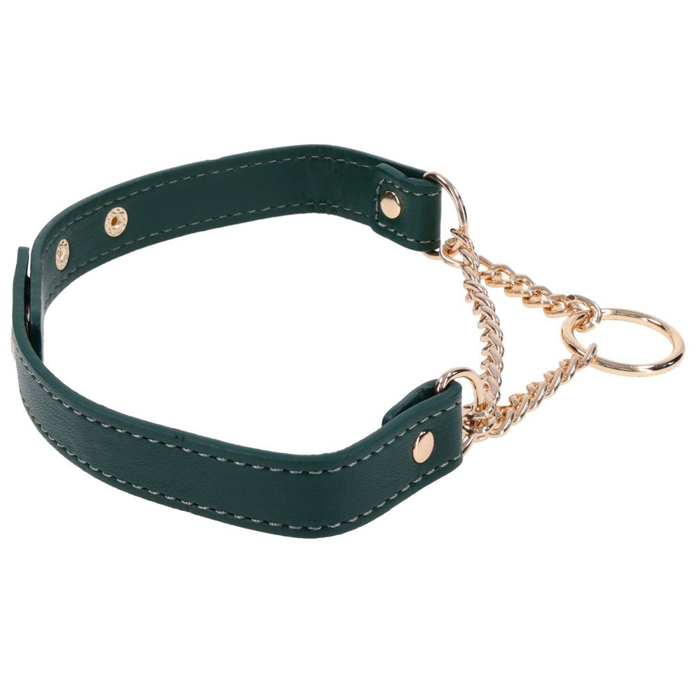 Sex & Mischief Indica Day Collar - Green/Gold Collar - BONDAGE - TOYS - Mr and Mrs D's