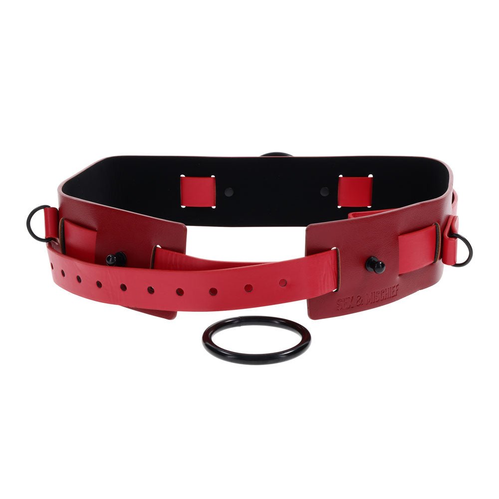 S&M Exs & Ohs Bound and Belted - BONDAGE - TOYS - Mr and Mrs D's