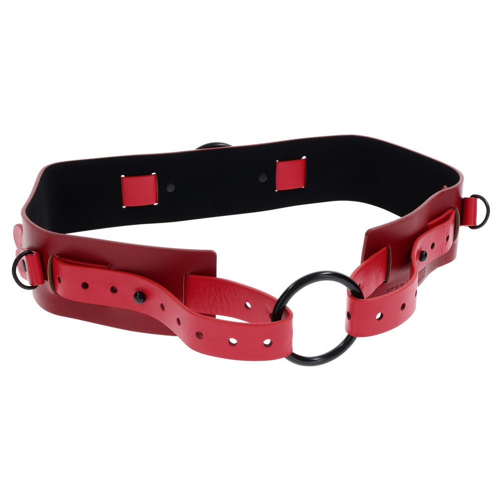 S&M Exs & Ohs Bound and Belted - BONDAGE - TOYS - Mr and Mrs D's